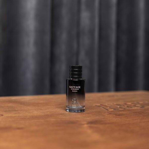 عطر مردانه Dior Sauvage Brandini:جسور،آروماتیک با رایحه اسطوخودوس